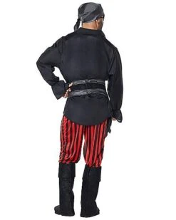 Adult Pirate Costume -Halloween Costumes 01445394 b