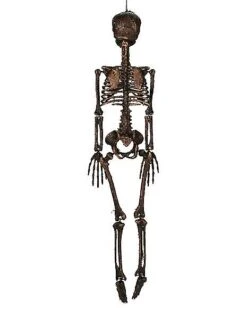 Moss Skeleton -Halloween Costumes 01477140 c