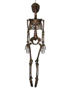 Moss Skeleton -Halloween Costumes 01477140 d