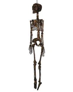 Moss Skeleton -Halloween Costumes 01477140 e