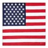Americana Bandana
