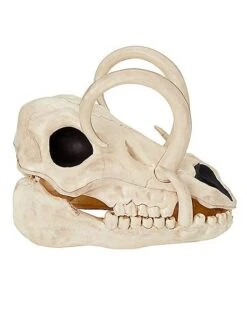 Boar Skull -Halloween Costumes 01528785 b