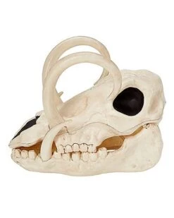 Boar Skull -Halloween Costumes 01528785 d