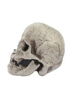 Mutant Skull -Halloween Costumes 01528868 d