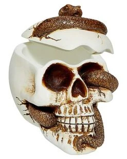 Snake Skull Box -Halloween Costumes 01530286 c