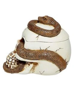 Snake Skull Box -Halloween Costumes 01530286 f