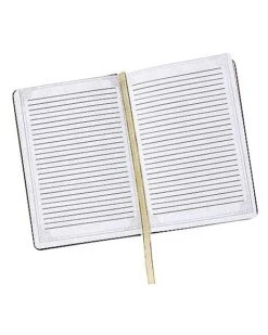 Gothic Noir Skull Journal -Halloween Costumes 01540152 c