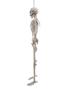 5 Ft. Digieye Hanging Skeleton Decoration -Halloween Costumes 01547751 d