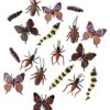Multi-Color Critters - 18 Pack