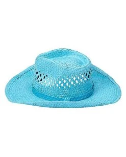 Blue Straw Cowboy Hat -Halloween Costumes 01573013 g