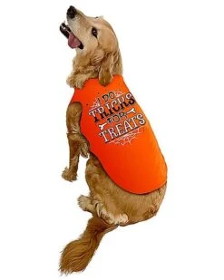 Tricks For Treats Pet Costume