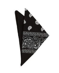 Black Paisley Bandana