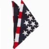American Flag Bandana