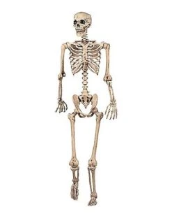 5 Ft Pose 'N' Stay Skeleton