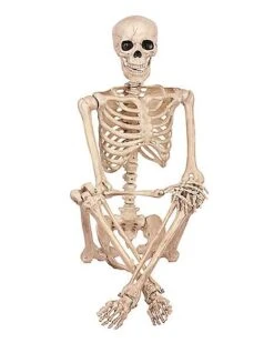 5 Ft Pose 'N' Stay Skeleton -Halloween Costumes 07125149 c