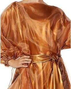 Adult Dana As Zuul Costume - Ghostbusters -Halloween Costumes 07554942 c