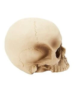 Jawless Skull Set - 3 Pack -Halloween Costumes 07641780 c